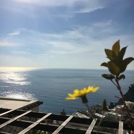카사 마르타 *